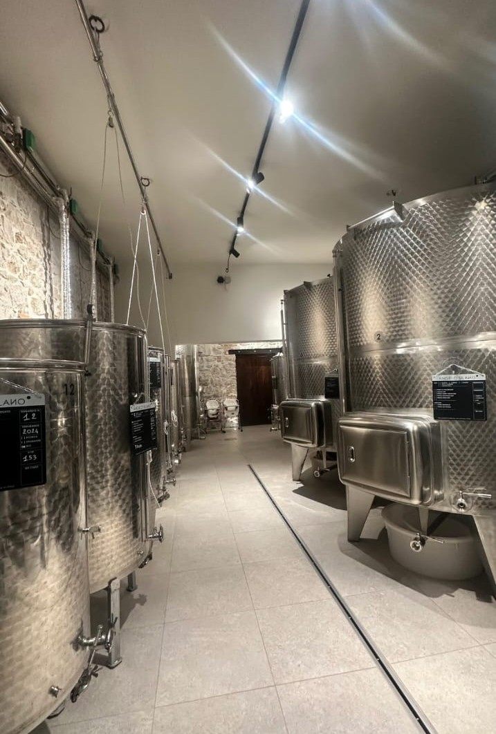 Il mio vino nasce in vigna